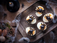 devilish aju crab spider eggs 3